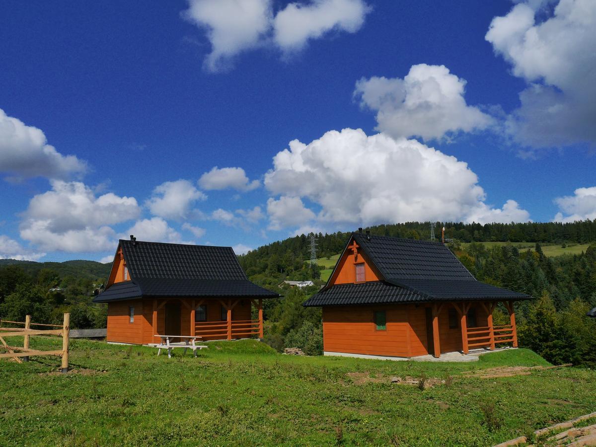 Chatki Niwki U Zboja Kroscienko nad Dunajcem Bagian luar foto