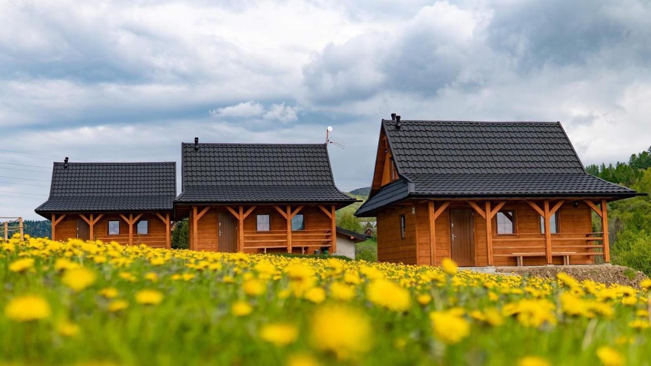 Chatki Niwki U Zboja Kroscienko nad Dunajcem Bagian luar foto